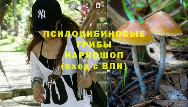 2c-b Балабаново