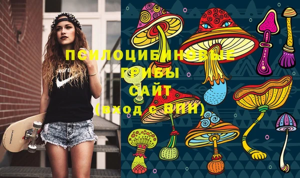 2c-b Балабаново