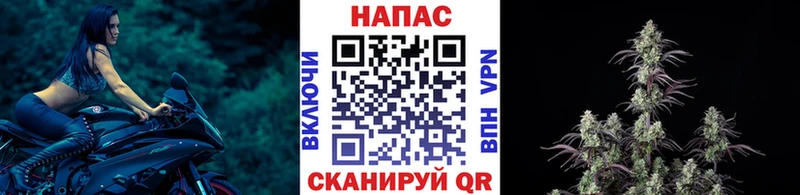 Шишки марихуана планчик Заполярный